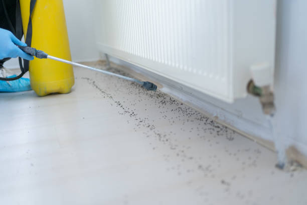 Best Mosquito Control Services  in Sarasota Springs, FL